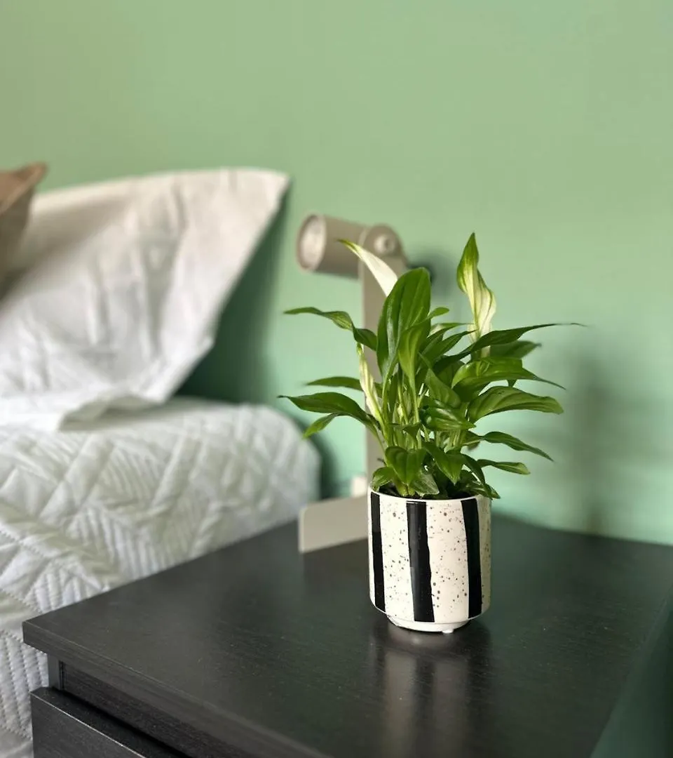 Apartment Guest Room Lisbon